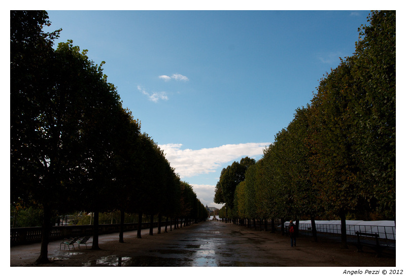 pbase-Paris-0317.jpg