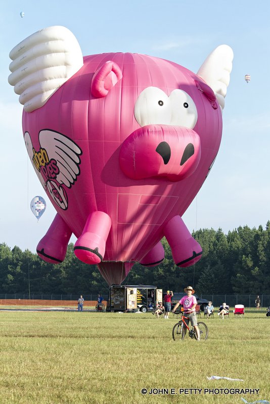 Pigs Fly_MG_9361.jpg