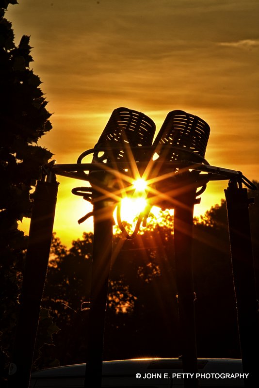 Morning Sunshine_MG_8219.jpg