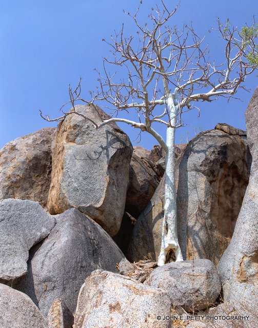 Granite Boulders_Panorama1.jpg