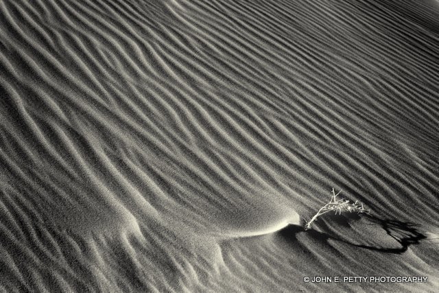 Dune patterns _MG_0022.jpg