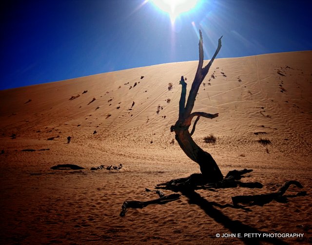 Intense Dunes IMG_1064.jpg