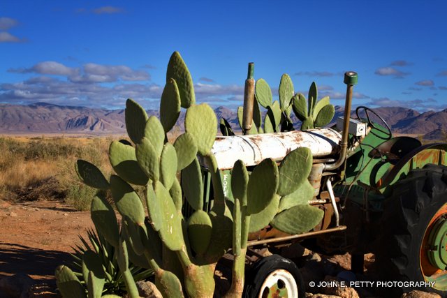 Solitaire tractor_MG_9928.jpg