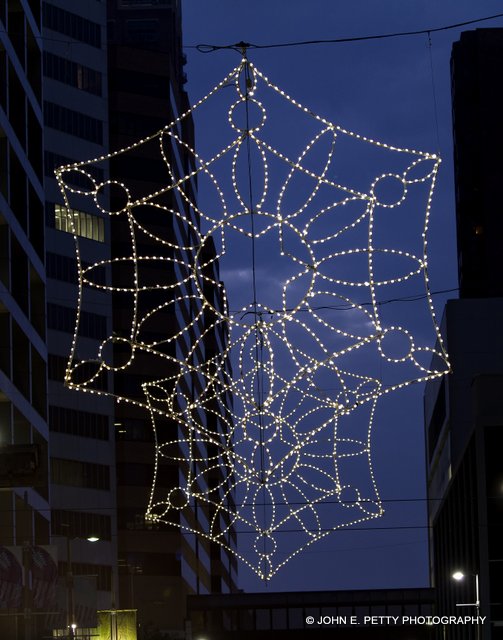 Holiday Lights _MG_4657.jpg
