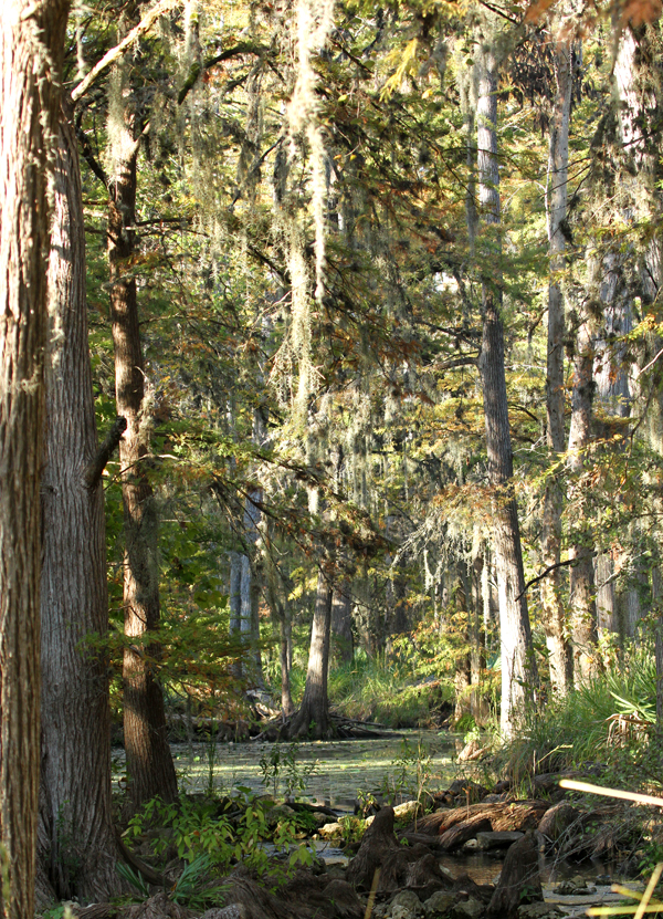 Honey Creek,  Comal County