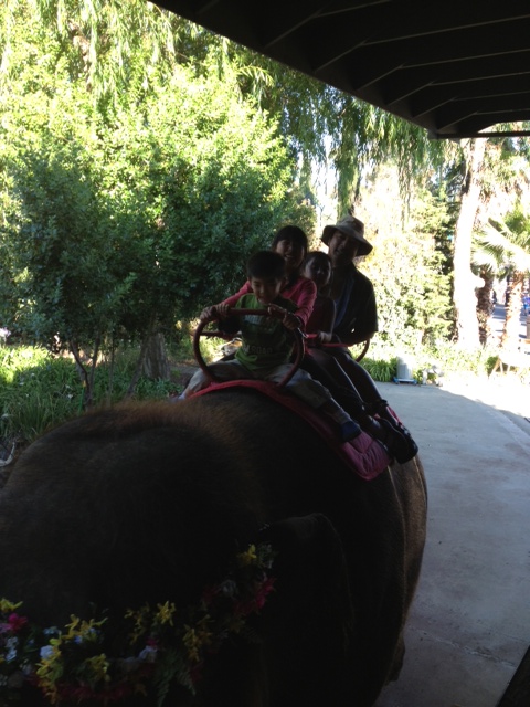 six_flags_elephant_3_08_201.JPG
