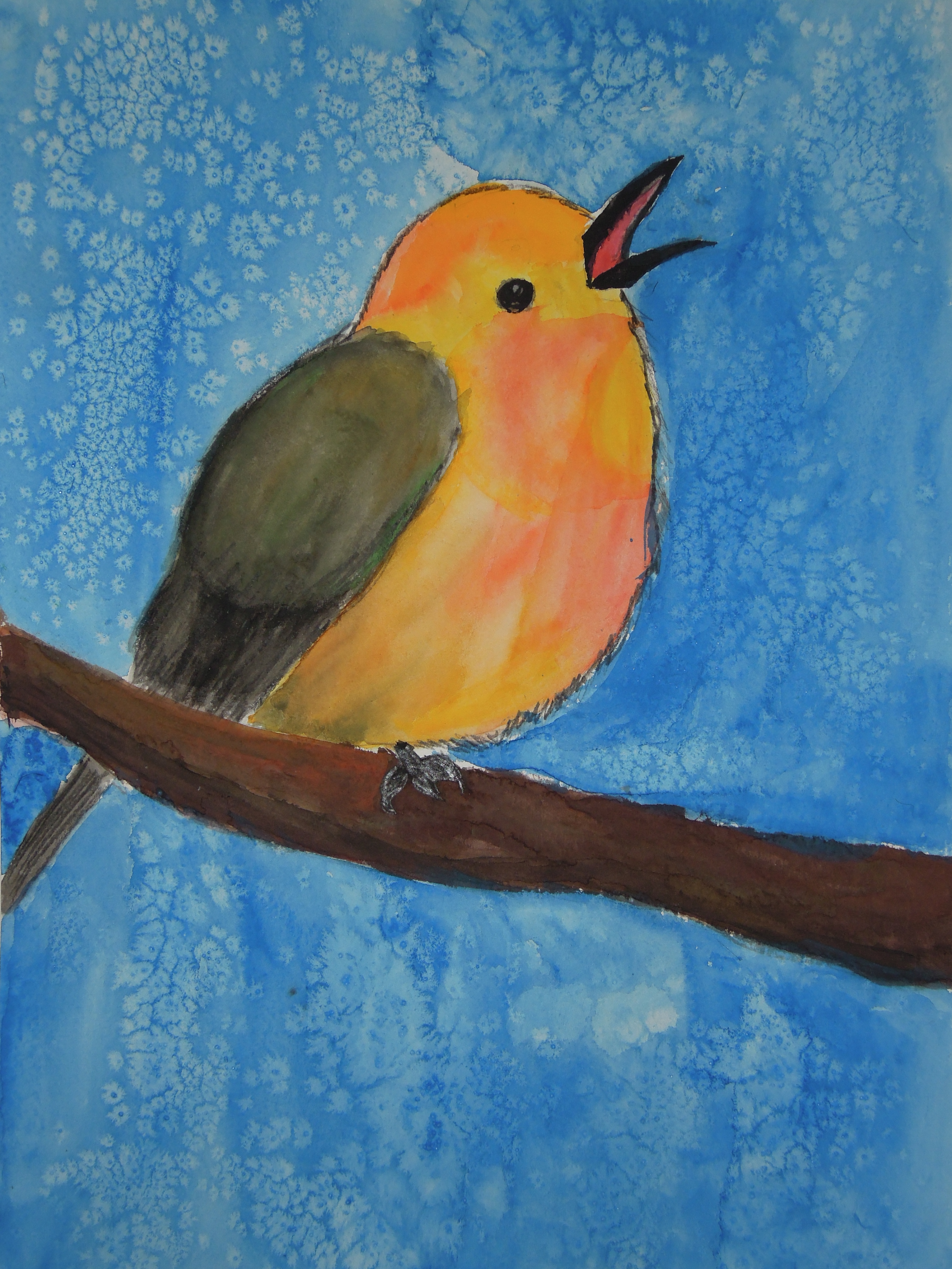 hd_wc_bird_hi_10_2014.JPG