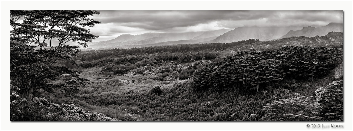 Valley View, Kuilau Trail, Kauai, 2013