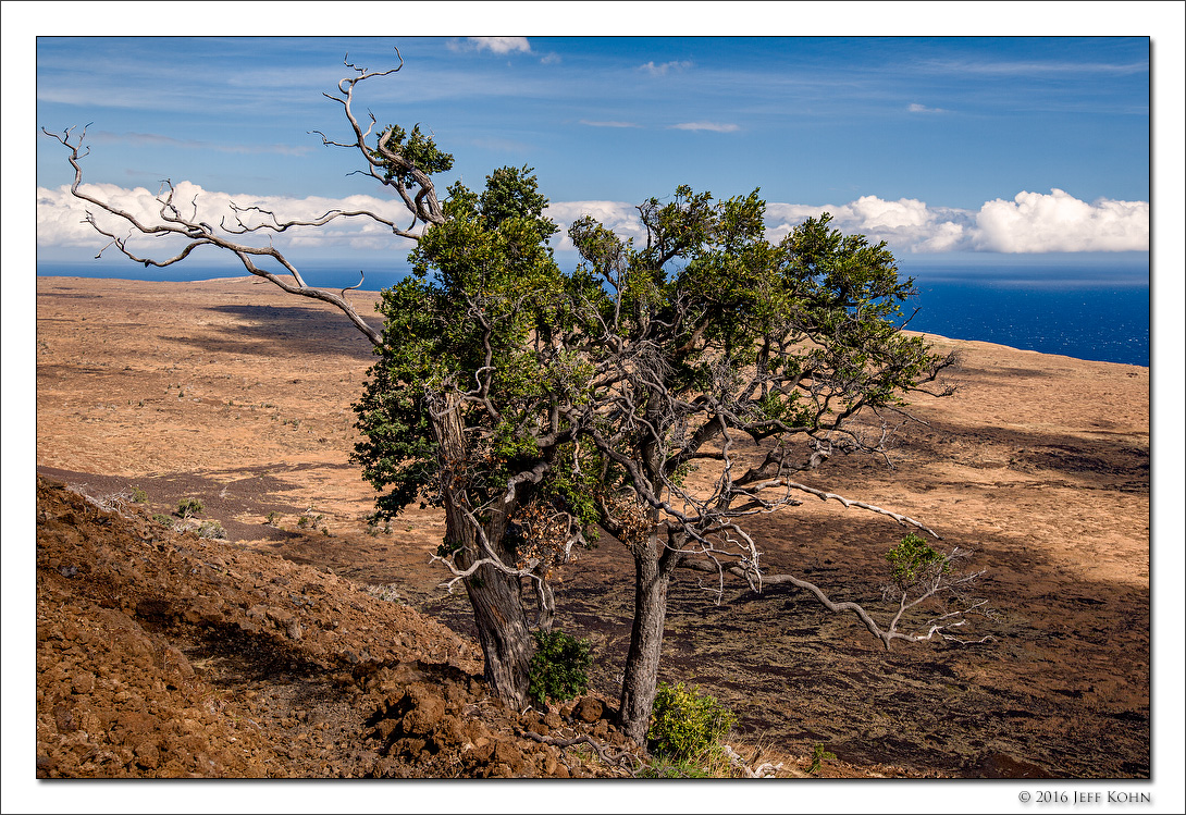 Hilina Pali Coast II, Hawaii, 2016