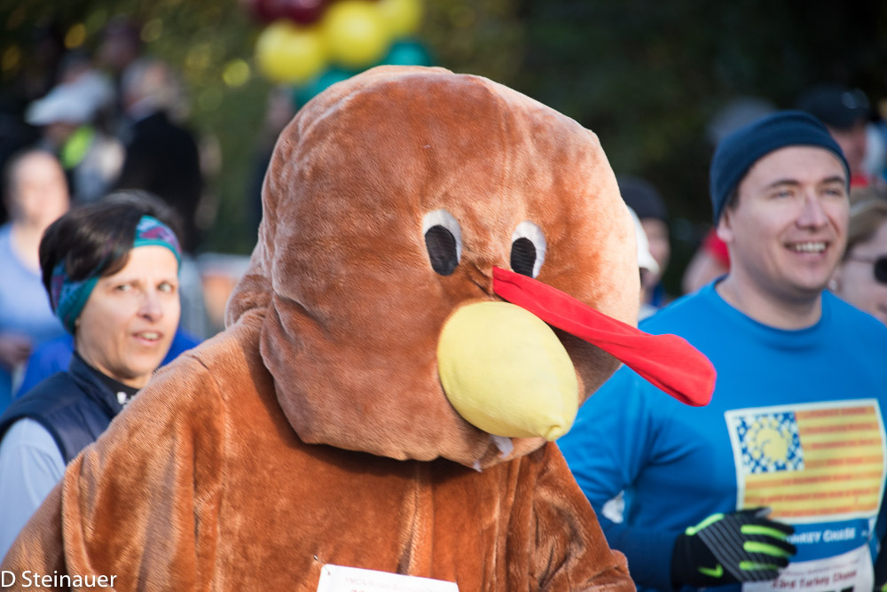 ds20151126-0245w.jpg