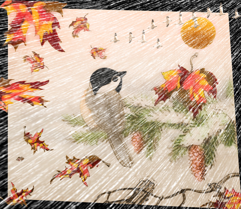 Le mois de mars est une valse  quatre temps ! /// March is a four beats waltz.