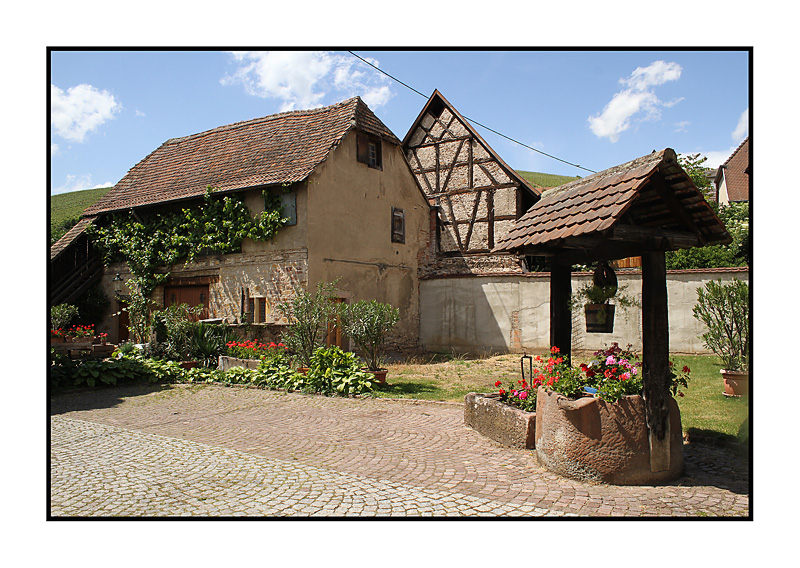 Trckheim