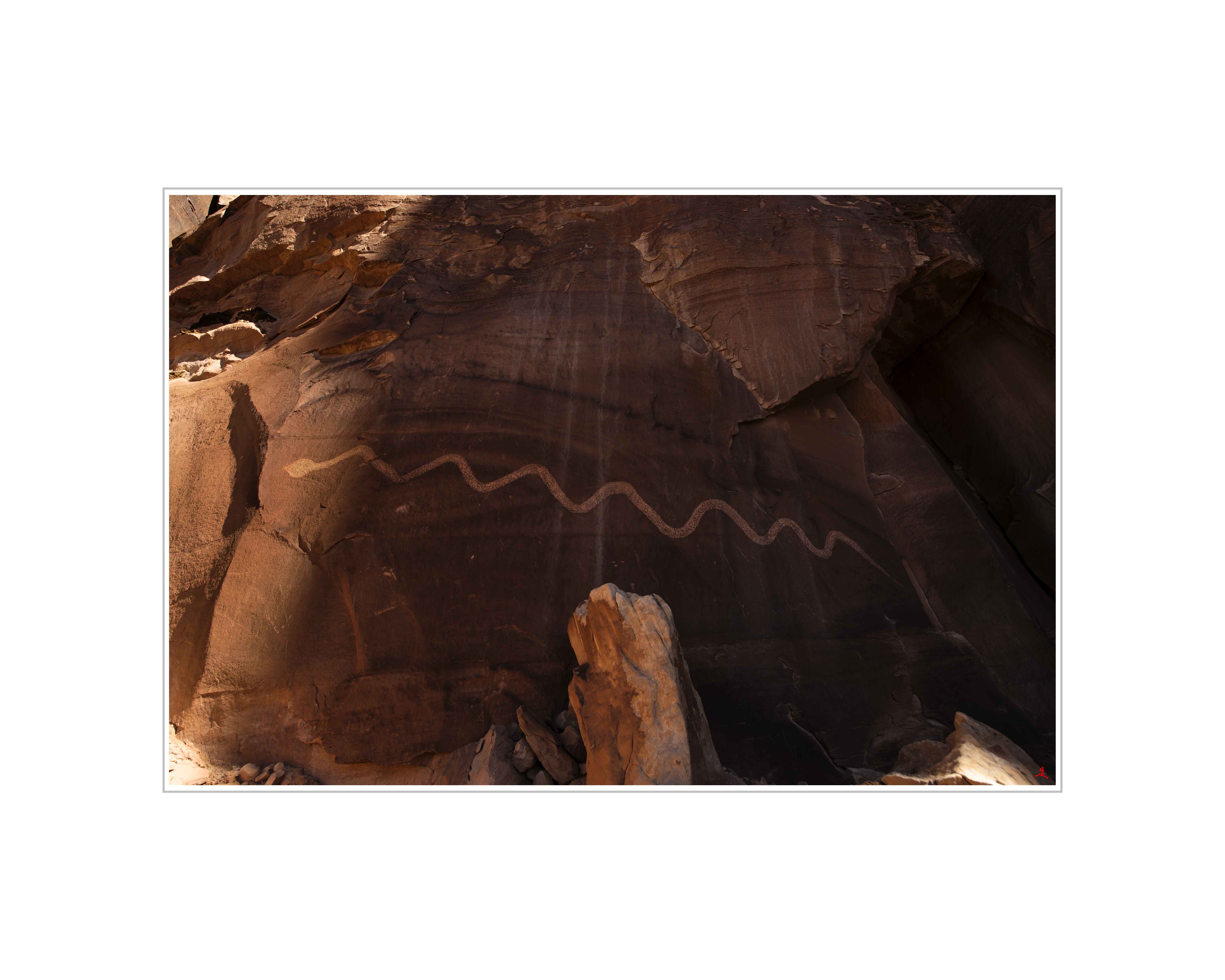 Art Poster_Solstice Snake_Coming Out Of Shadow_16x20 copy.jpg