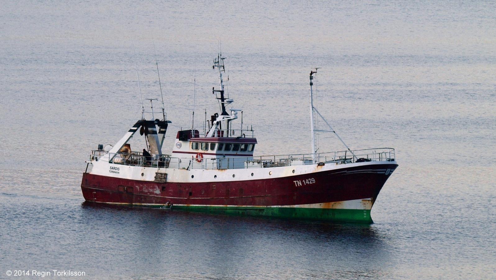 Sardis TN 1429
