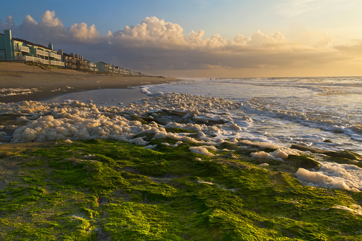 Coquina Rocks at Kure Beach at dawn