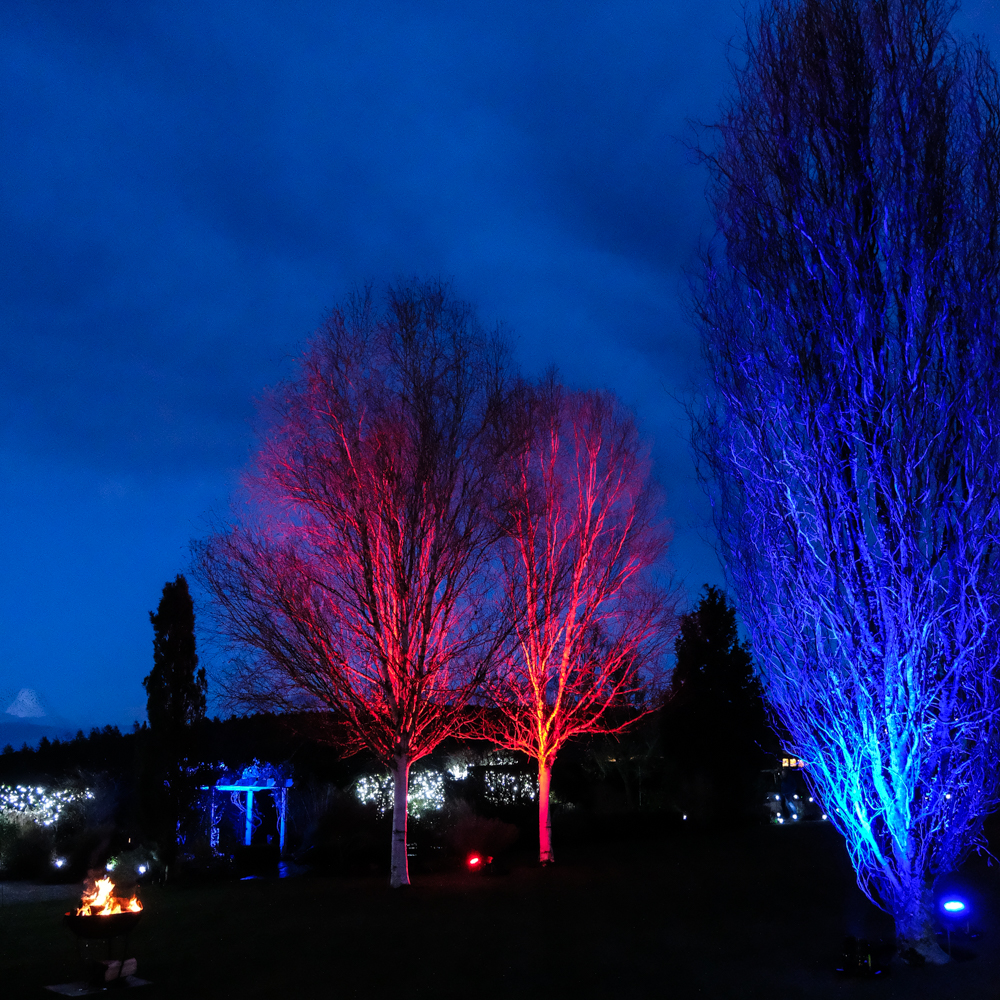 Night Lights @ RHS Rosemoor