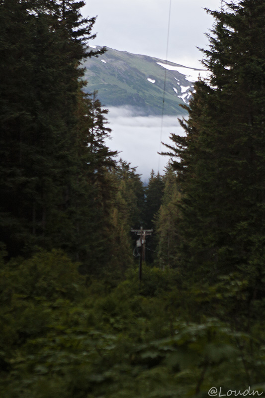 little tutka bay, alaska