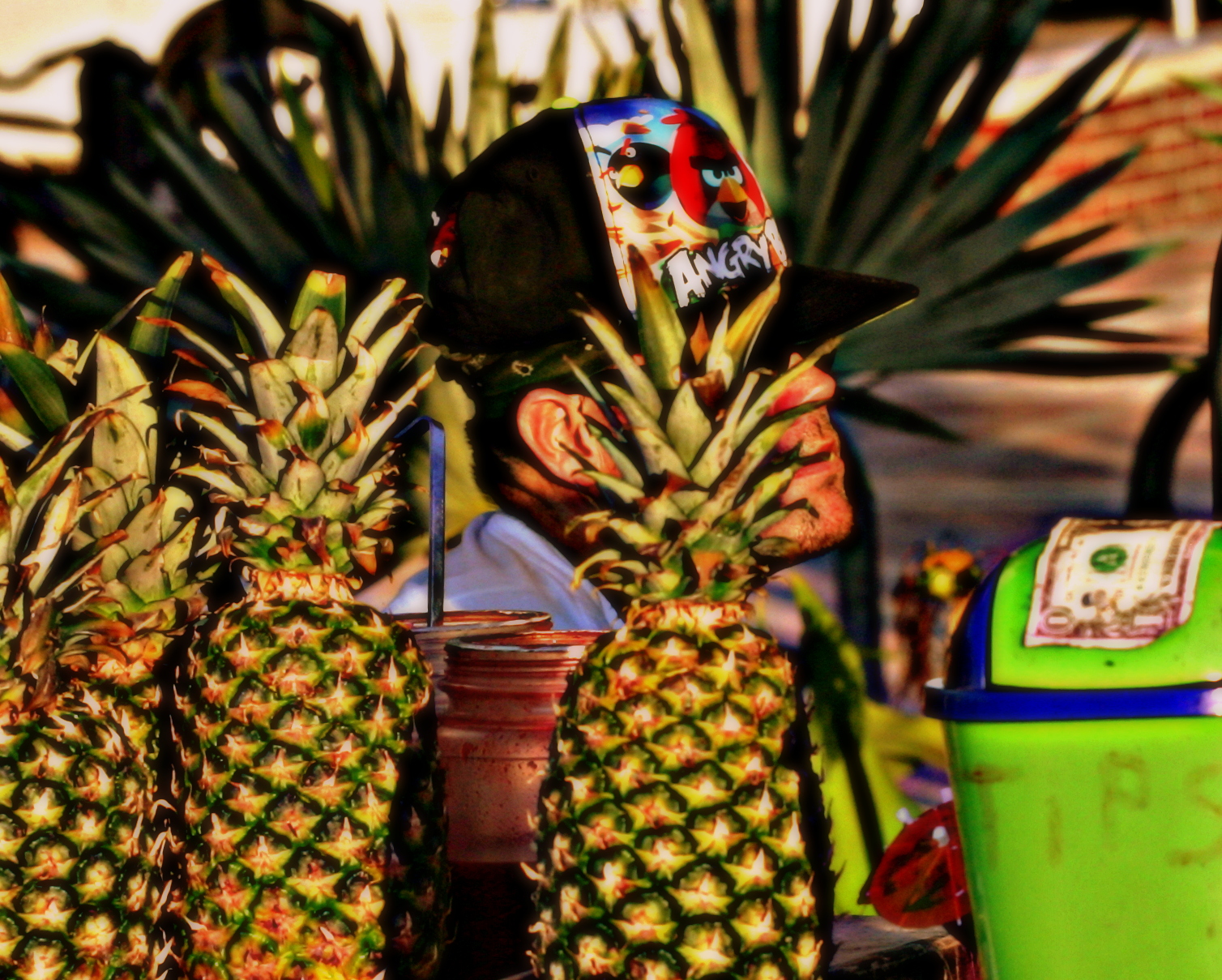 Key West Pineapple Head photo Robert Ford photos at