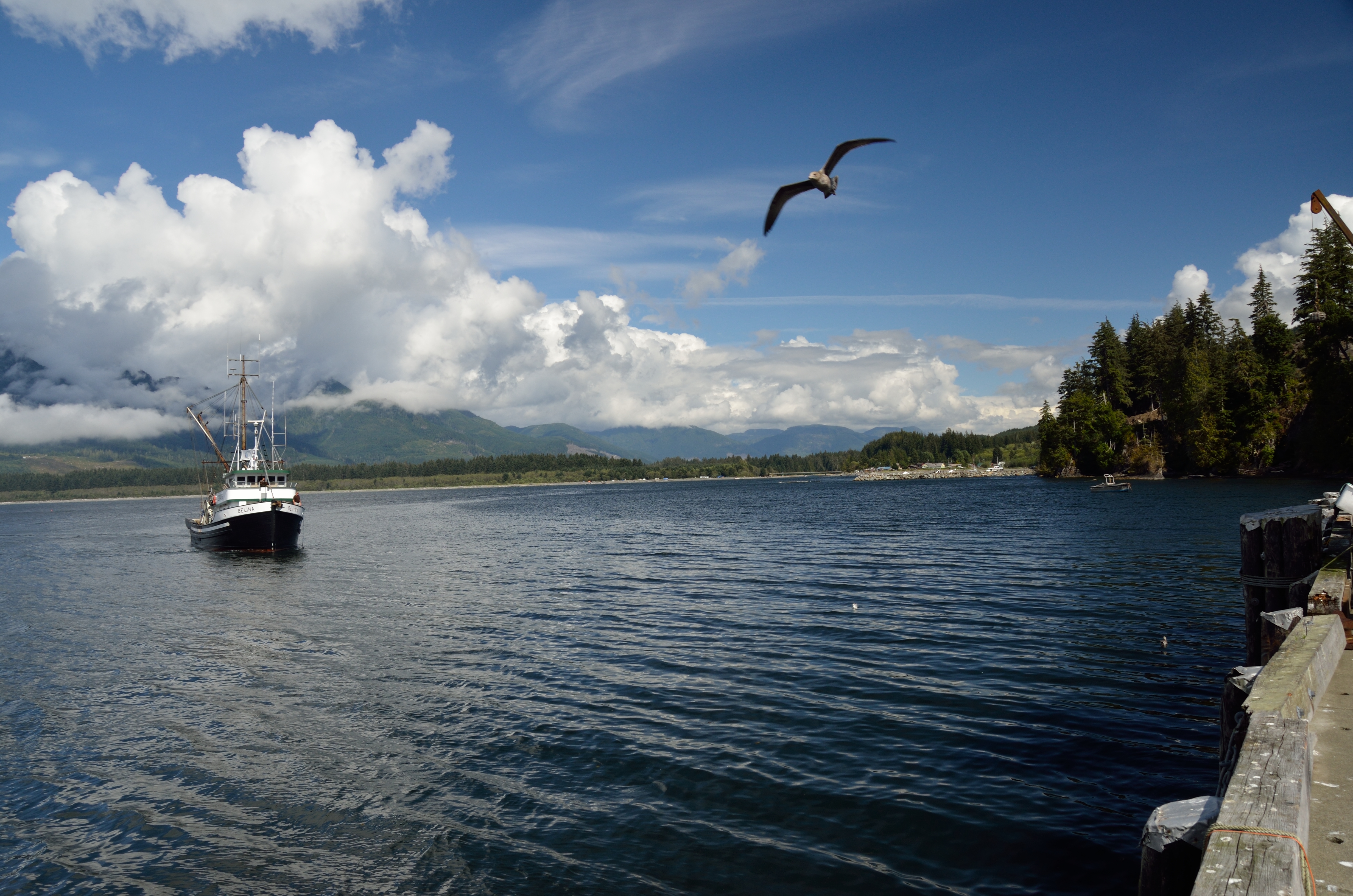 Port Renfrew