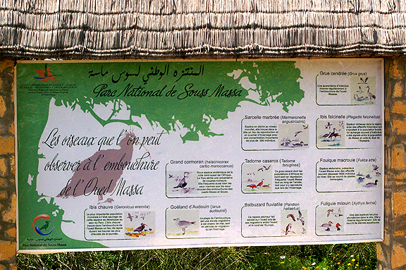  ANOTHER SIGN IN THE OUED MASSA RESERVE . MOROCCO . 9 / 3 / 2010