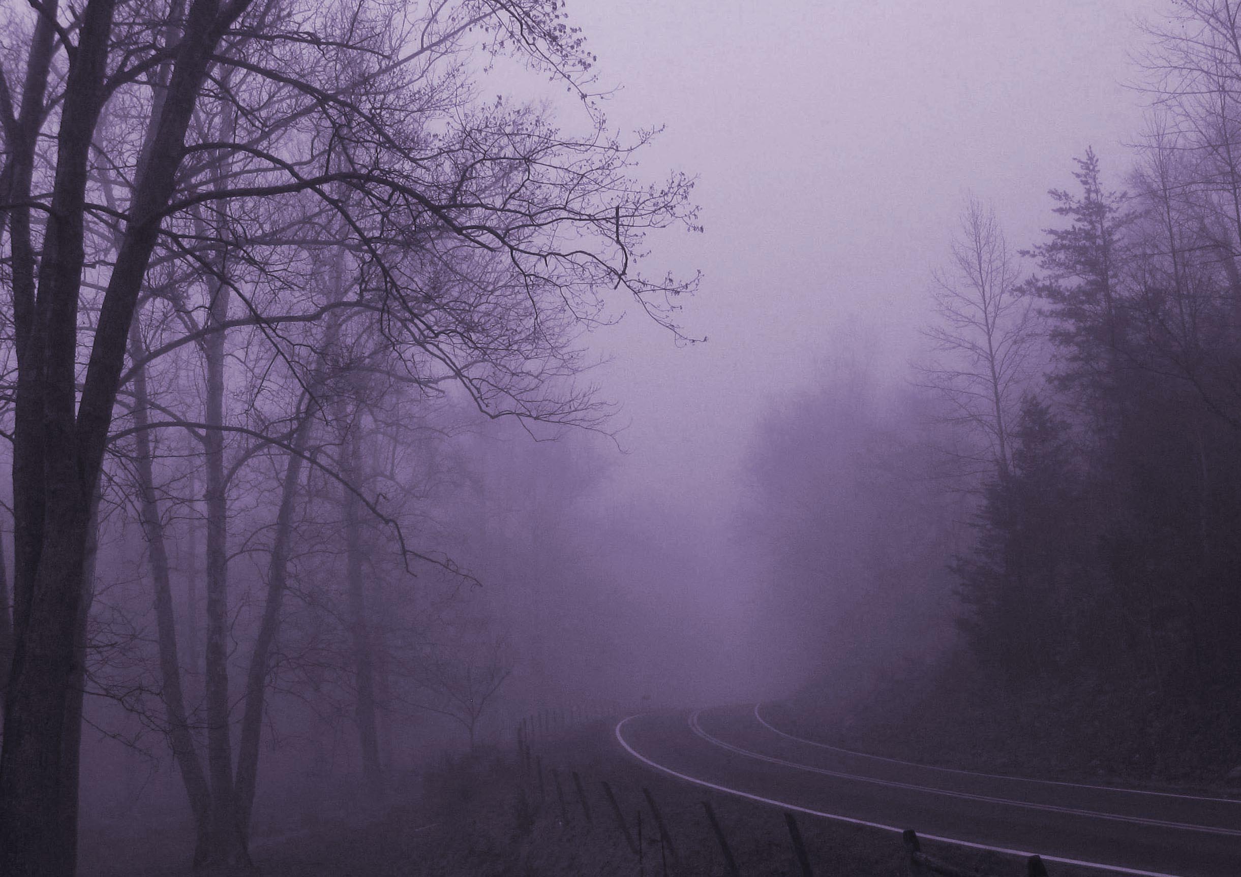 The Violet Fog