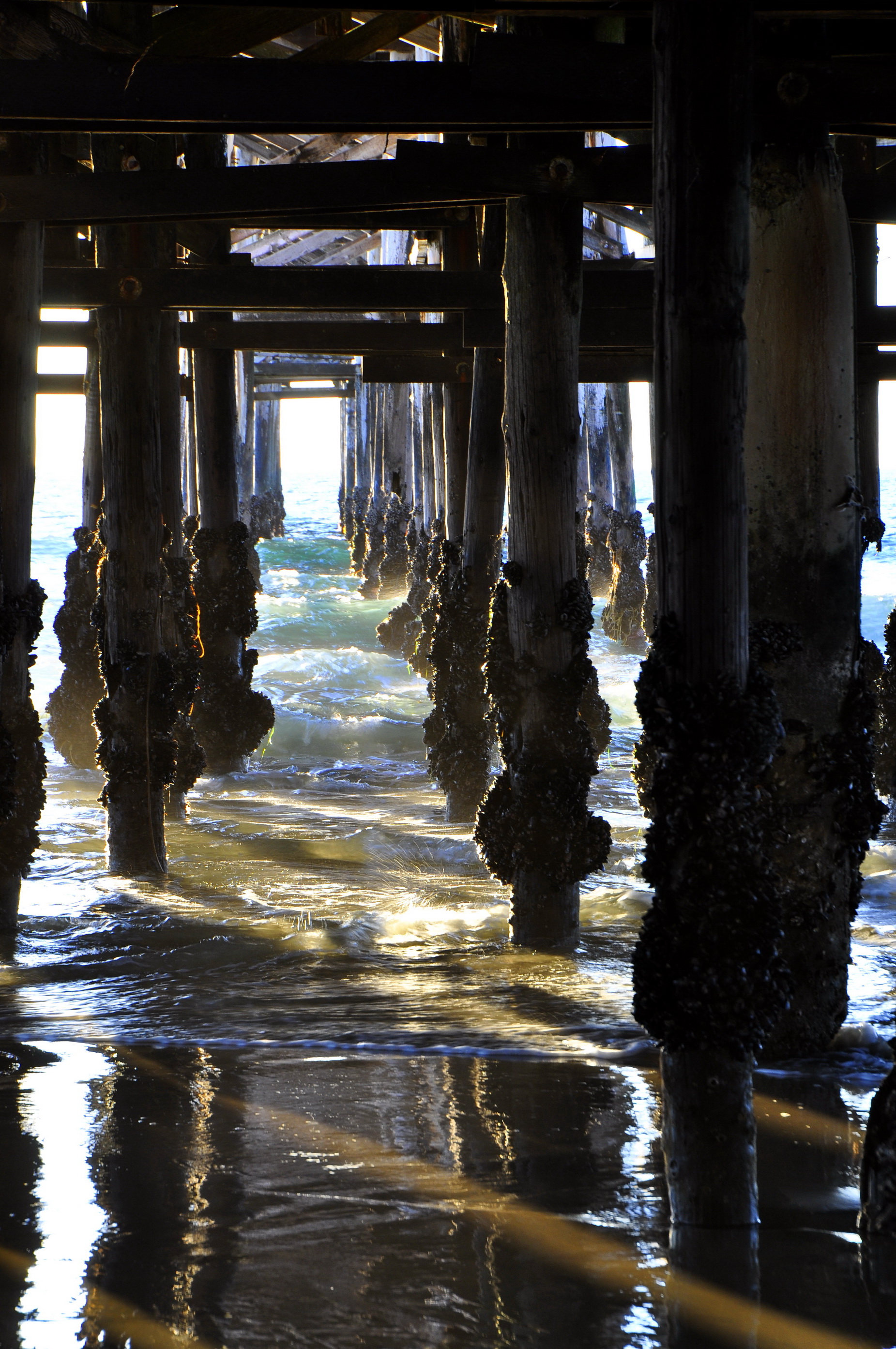Pacific Beach