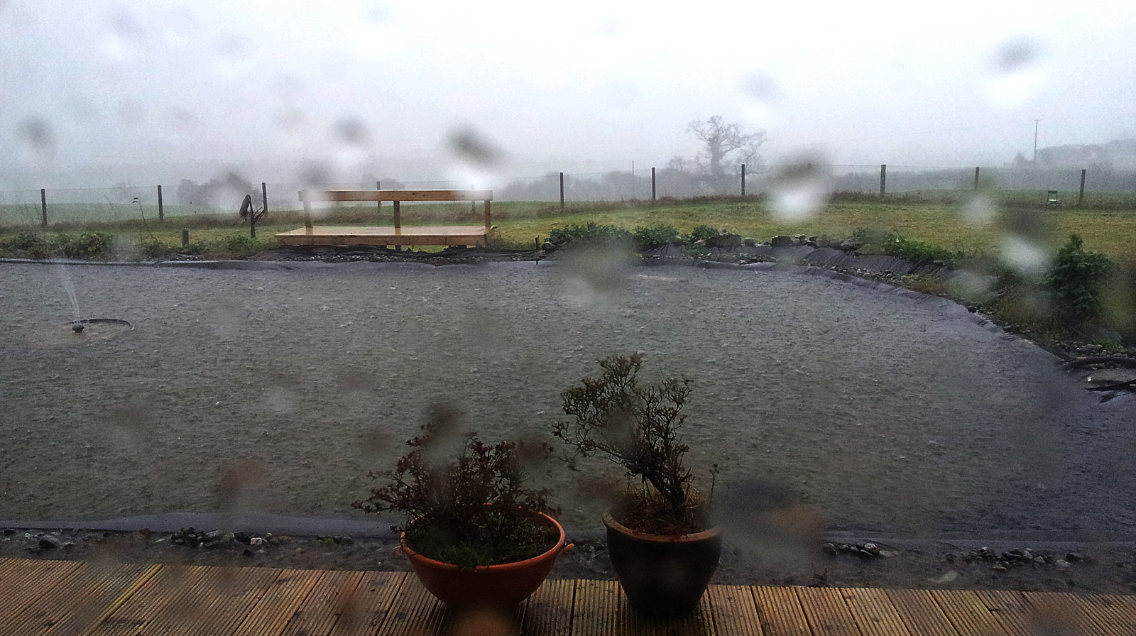 Rain