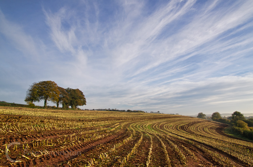 Fields near Bradninch - Devon