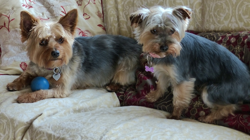My mum Twinkle and my sister Daisy