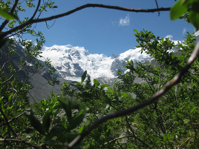 The Morteratsch Glacier