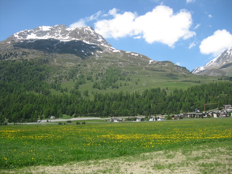 Silvaplana