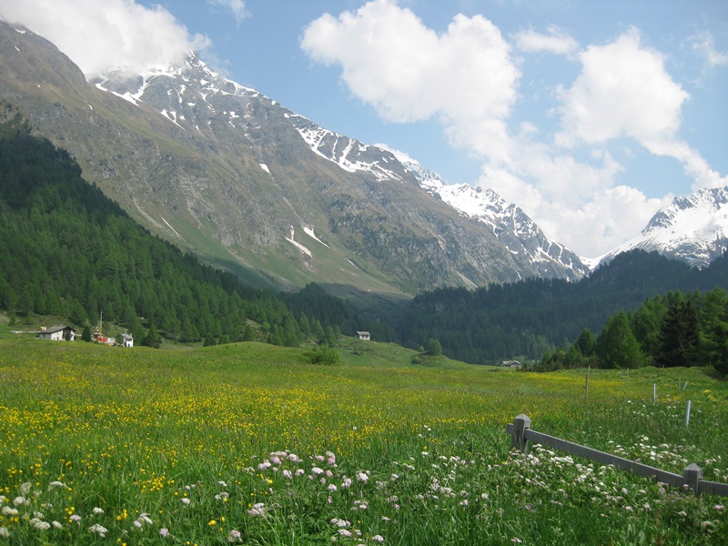 Maloja