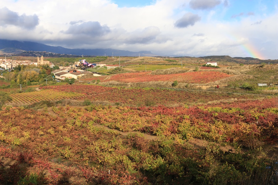 Elciego (Rioja Alavesa)