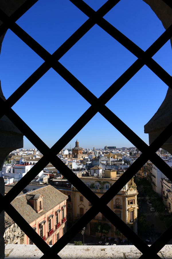 Vista desde la Giralda