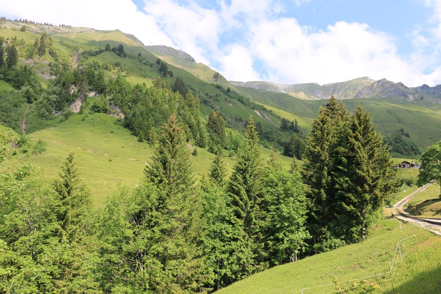 Brienz. Rothorn Railway