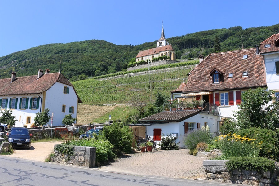Ligerz