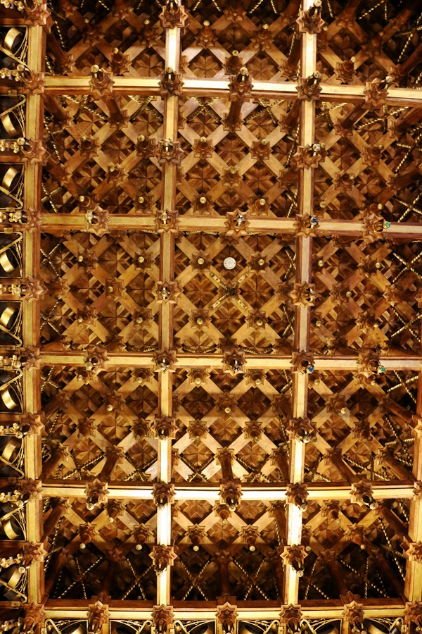 Ceiling in the Visitors Room