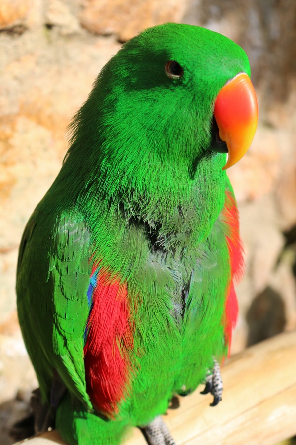 Blanes. Jardi Botnic Marimurtra