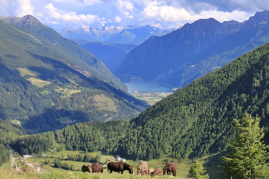 Val Poschiavo