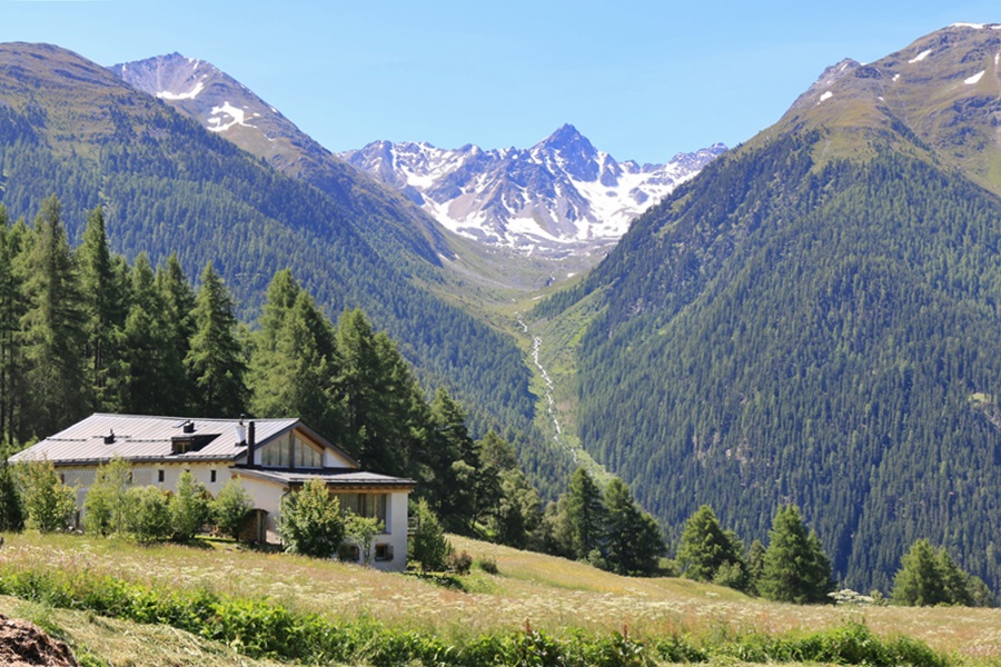 Guarda