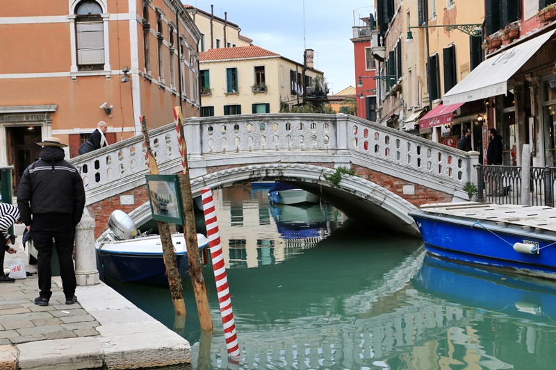 Pontes in Venezia