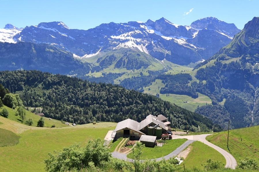 Farms in Engelberg