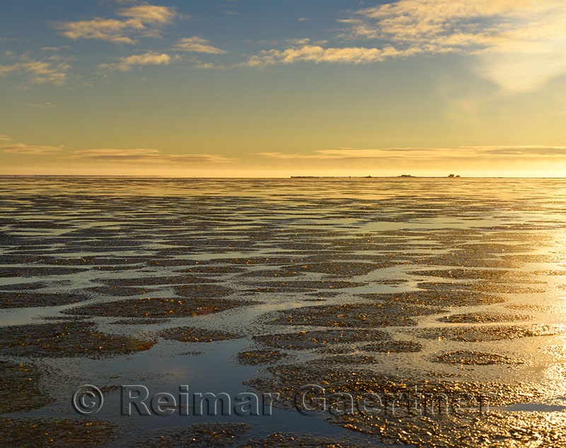 Ice formation over calm water of the Beaufort Sea at Barter Island Kaktovik Alaska at sundown