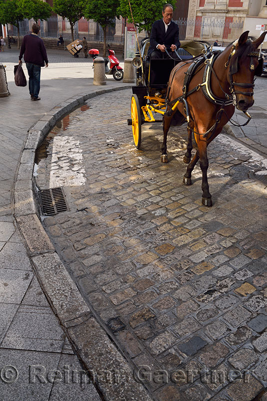 Horse and carriage on cobblestoned Alvarez Quintero street in the morning Seville Spain