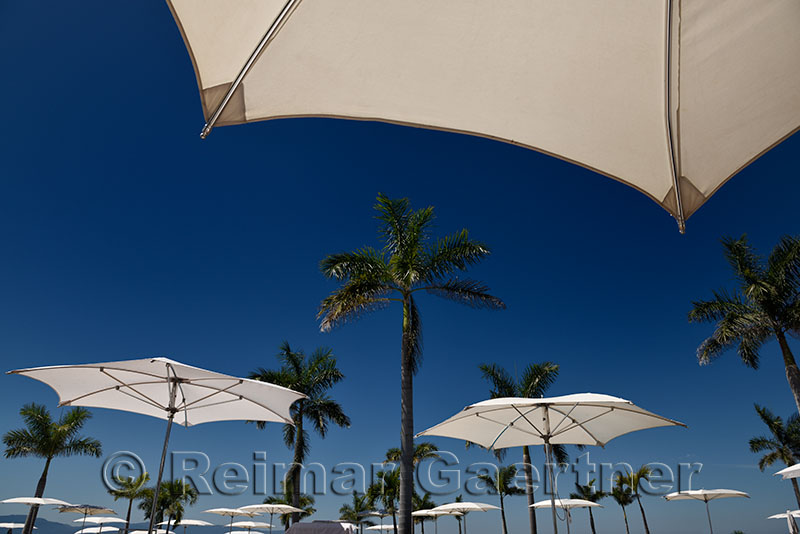 Poolside resort umbrellas with palm trees in Nuevo Vallarta Mexico