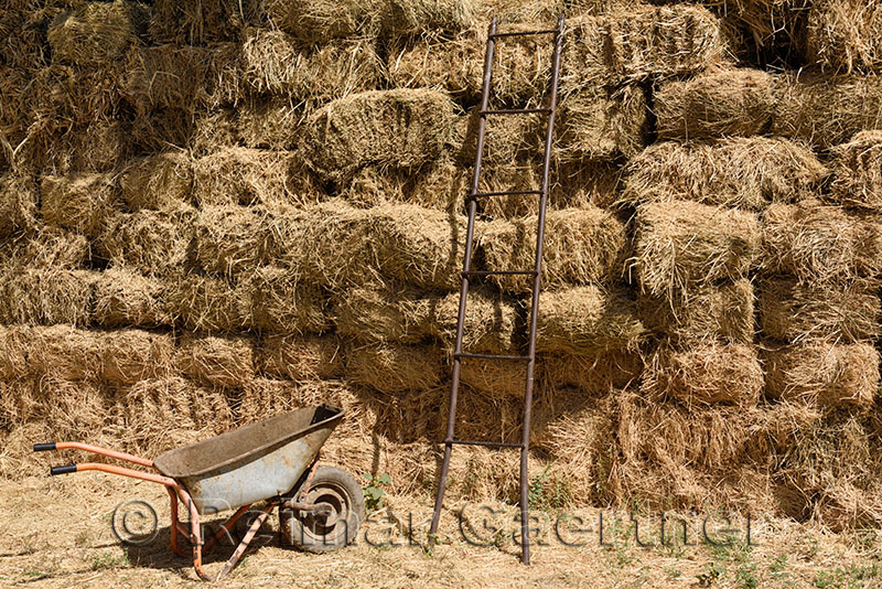 Steel ladder and wheelbarrow beside a wall of hay bales Shymkent South Kazakhstan Region
