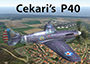 Cekaris P40.jpg