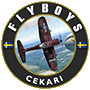 FBY-Cekari Logo90.gif
