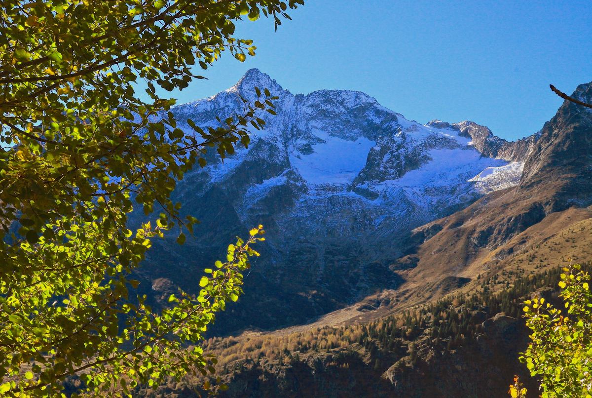 Tte de Lauranoure alt. 3325 m.