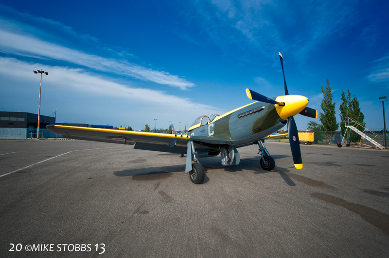 P51006